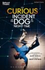 The Curious Incident of the Dog in the Night-Time - METHUEN EDITION